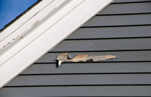 Best Demolition Debris Removal  in Clayton, NM
