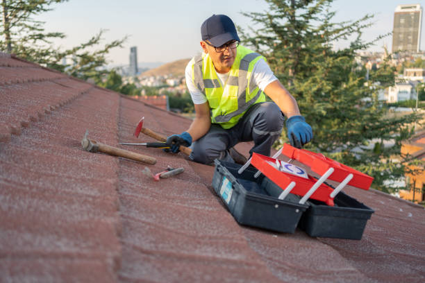 Best Construction Debris Removal  in Clayton, NM